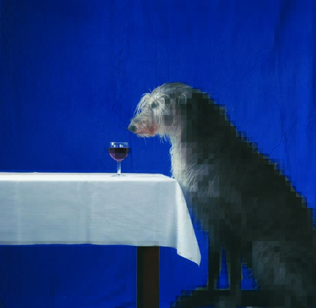 Titelbild